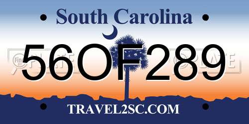 56OF289 South Carolina License Plate