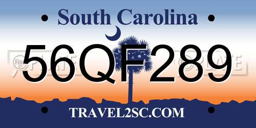56QF289 South Carolina License Plate