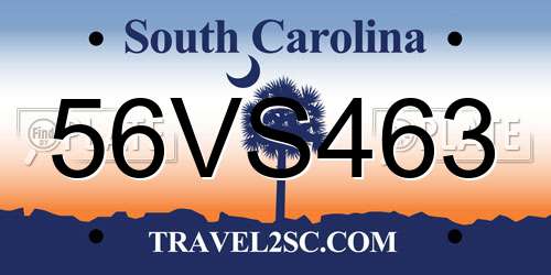 56VS463 South Carolina License Plate