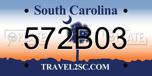 572B03 South Carolina License Plate