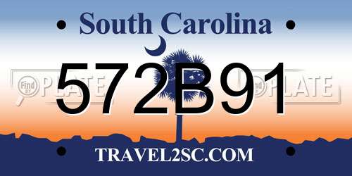 572B91 South Carolina License Plate