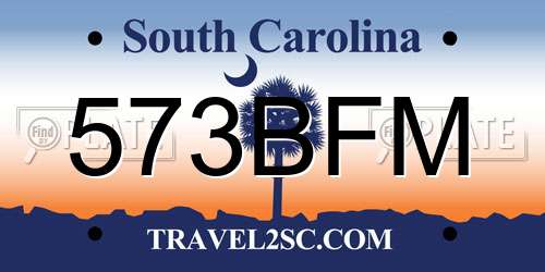 573BFM South Carolina License Plate