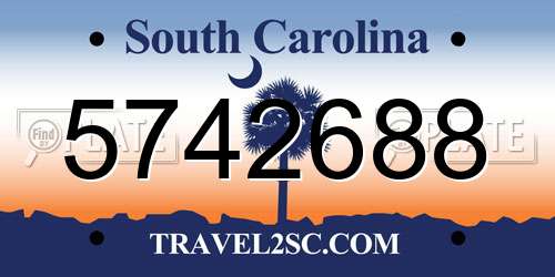 5742688 South Carolina License Plate