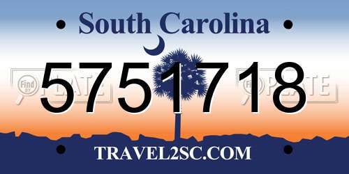 5751718 South Carolina License Plate