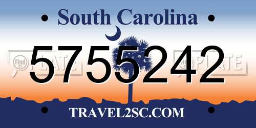 5755242 South Carolina License Plate