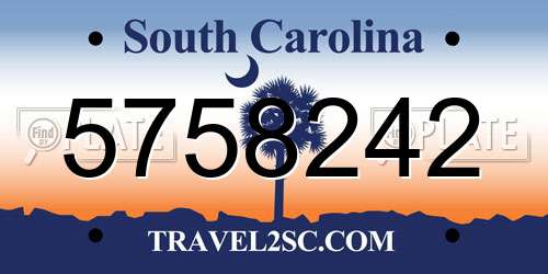 5758242 South Carolina License Plate