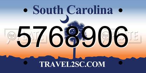 5768906 South Carolina License Plate