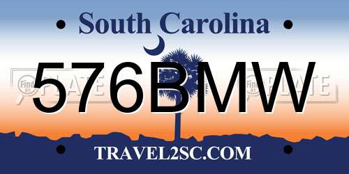 576BMW South Carolina License Plate