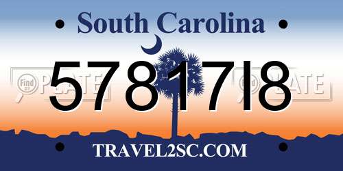 57817I8 South Carolina License Plate