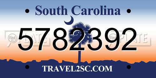 5782392 South Carolina License Plate