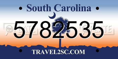 5782535 South Carolina License Plate