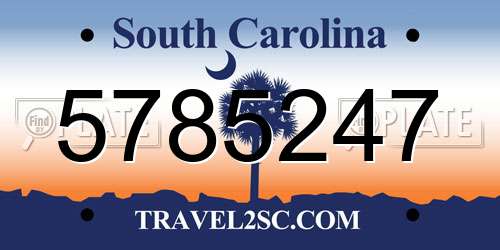 5785247 South Carolina License Plate