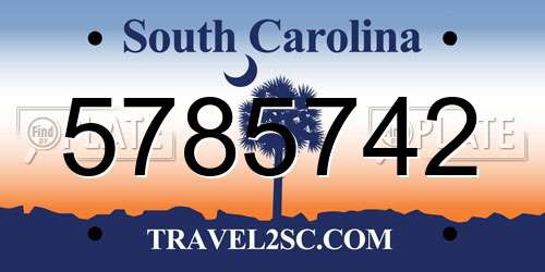 5785742 South Carolina License Plate