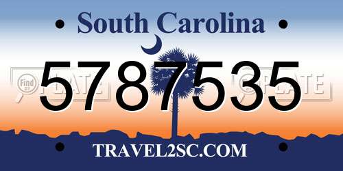5787535 South Carolina License Plate