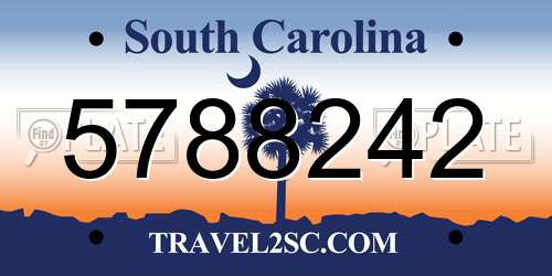 5788242 South Carolina License Plate