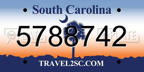5788742 South Carolina License Plate