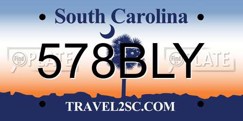 578BLY South Carolina License Plate