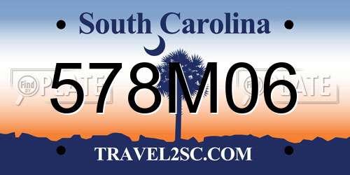 578M06 South Carolina License Plate