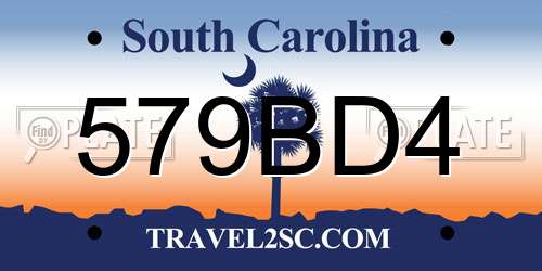 579BD4 South Carolina License Plate