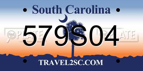 579S04 South Carolina License Plate
