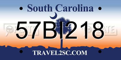 57BI218 South Carolina License Plate