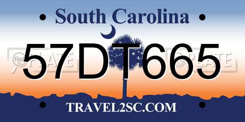 57DT665 South Carolina License Plate
