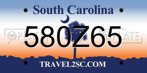 580Z65 South Carolina License Plate