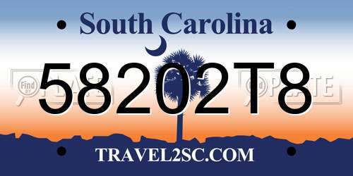 58202T8 South Carolina License Plate