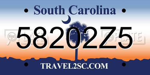 58202Z5 South Carolina License Plate