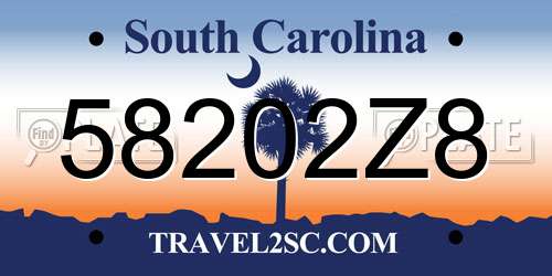 58202Z8 South Carolina License Plate