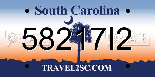 58217I2 South Carolina License Plate