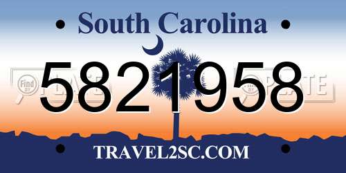 5821958 South Carolina License Plate