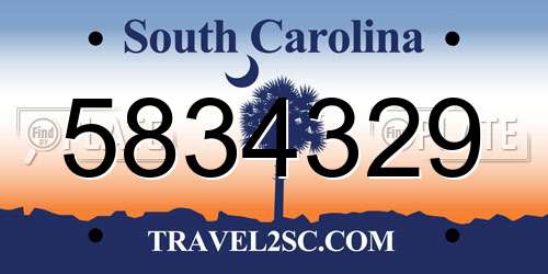 5834329 South Carolina License Plate