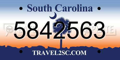 5842563 South Carolina License Plate