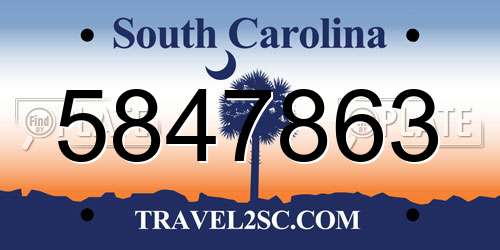 5847863 South Carolina License Plate