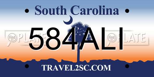 584ALI South Carolina License Plate