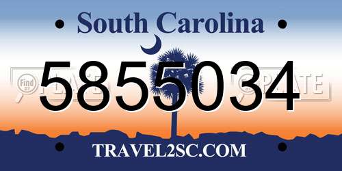 5855034 South Carolina License Plate