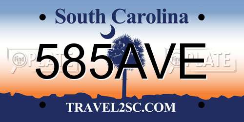 585AVE South Carolina License Plate