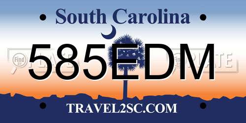 585EDM South Carolina License Plate