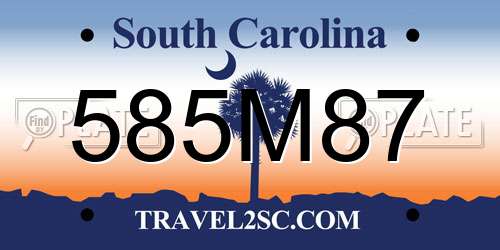 585M87 South Carolina License Plate