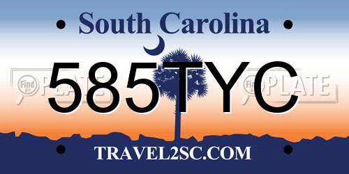 585TYC South Carolina License Plate