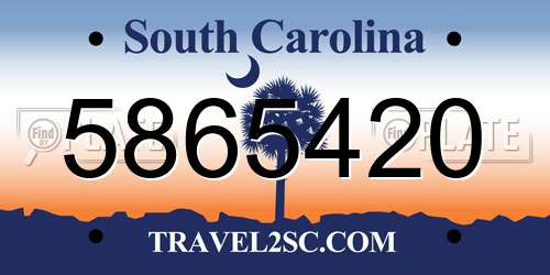 5865420 South Carolina License Plate