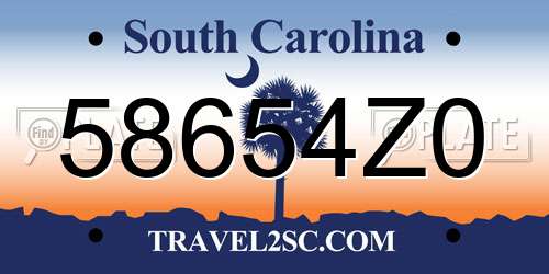 58654Z0 South Carolina License Plate