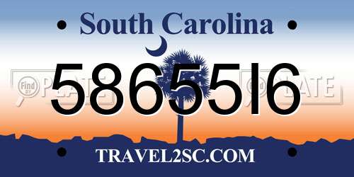 58655I6 South Carolina License Plate