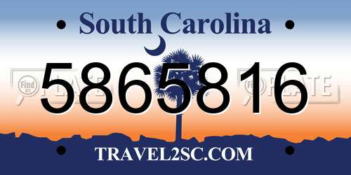 5865816 South Carolina License Plate