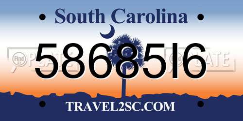58685I6 South Carolina License Plate