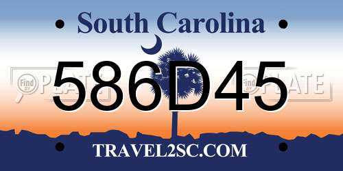 586D45 South Carolina License Plate