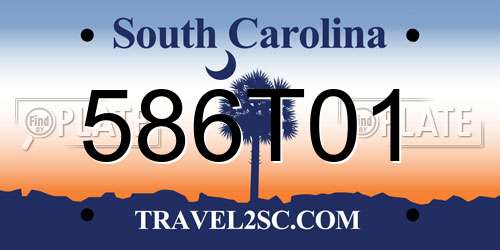 586T01 South Carolina License Plate