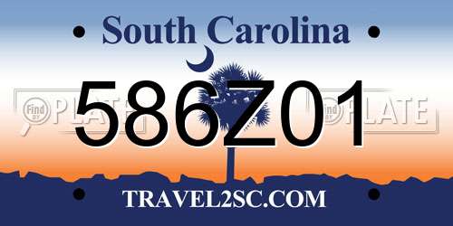 586Z01 South Carolina License Plate