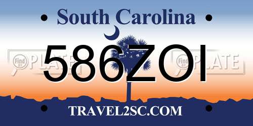 586ZOI South Carolina License Plate
